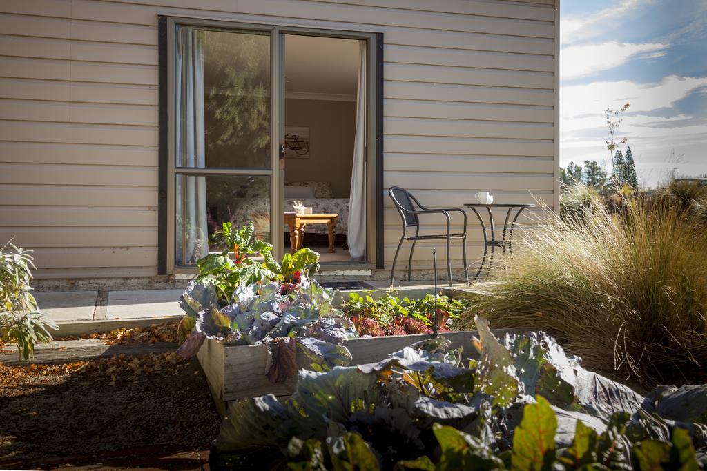 Trout 'N' Trail B&B Ranfurly Номер фото